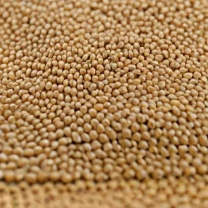 Ультрамелкозернистые материалы: зачем уменьшать размер зерна