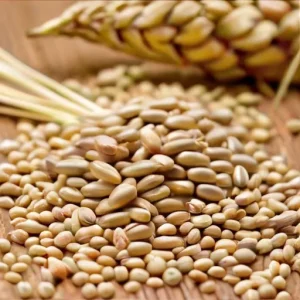 Как связаны масштаб зерна и устойчивость к повреждению